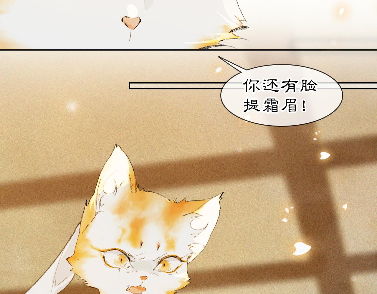 第37话 腹黑喵的真相39
