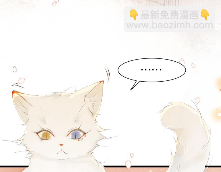 第1话 御猫的神秘生活23