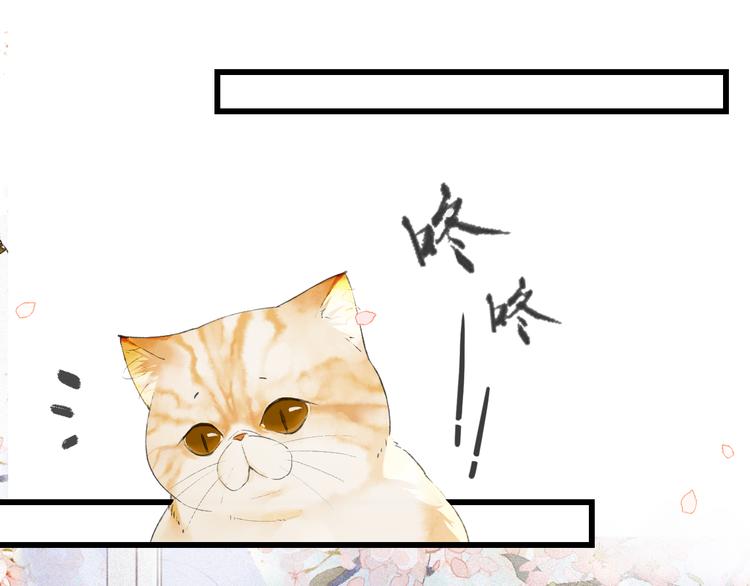 第1话 御猫的神秘生活71