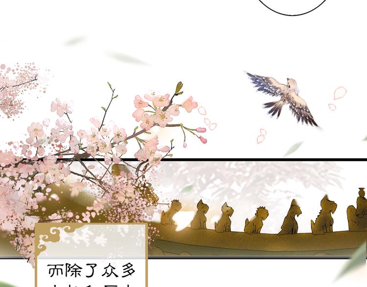 第1话 御猫的神秘生活8