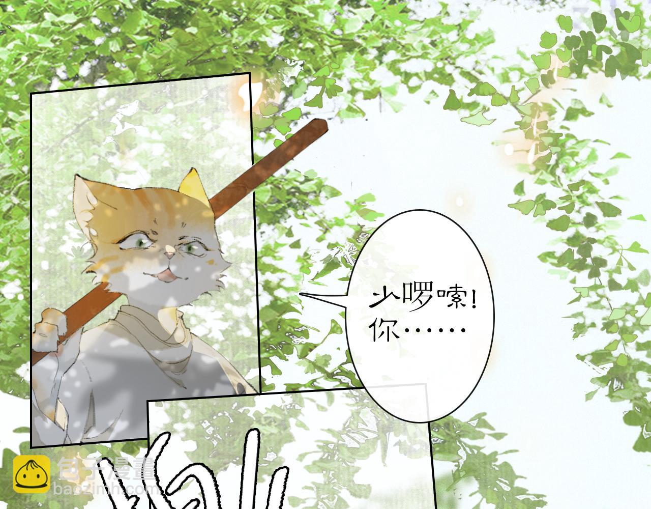 第24话 橘猫大侠22