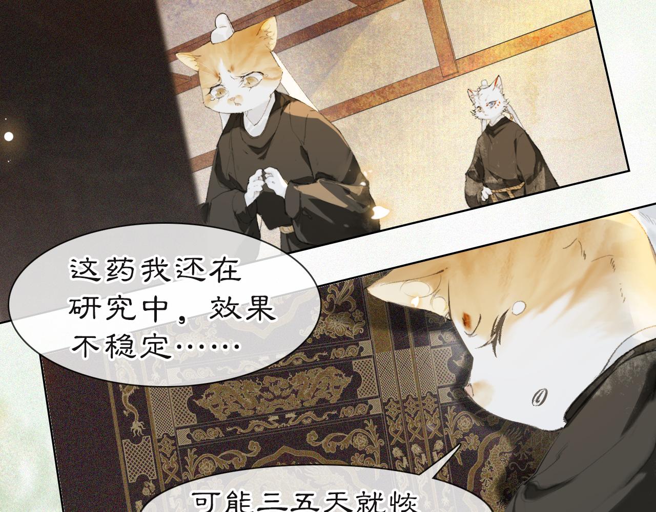 第37话 腹黑喵的真相1