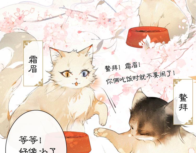 第1话 御猫的神秘生活44