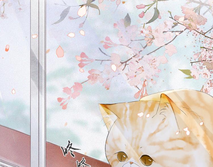 第1话 御猫的神秘生活72
