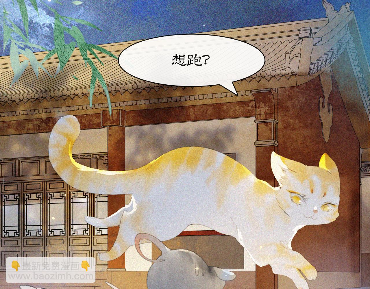 番外 御喵夜生活·下12