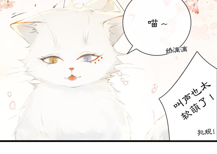 第1话 御猫的神秘生活25