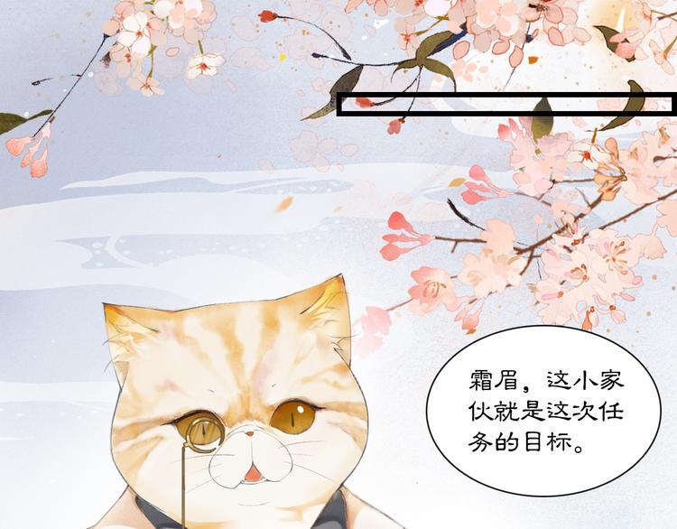 第1话 御猫的神秘生活79