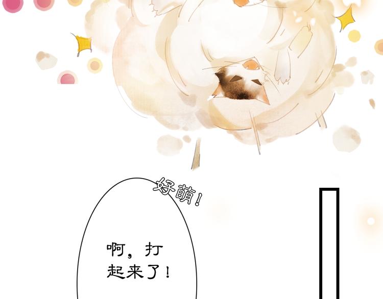 第1话 御猫的神秘生活33