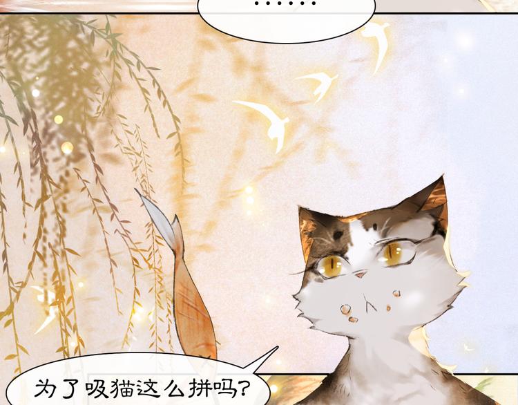第16话 鱼也吸猫？35