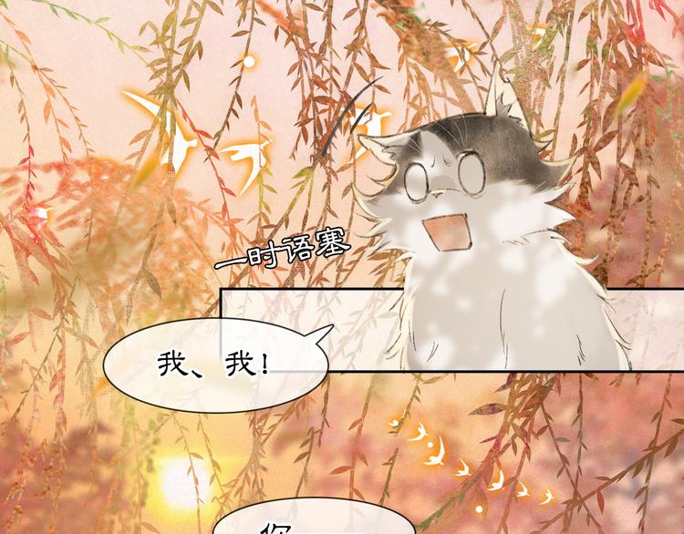 第16话 鱼也吸猫？42