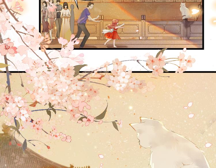 第1话 御猫的神秘生活21