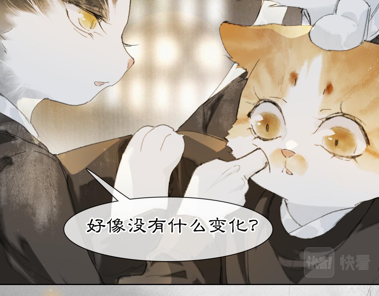 第36话 被选中的喵29