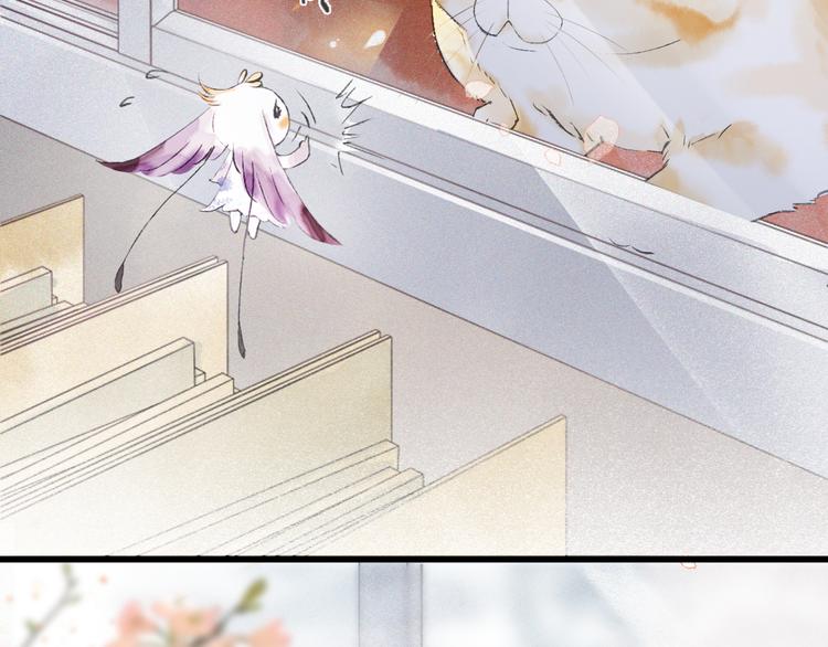 第1话 御猫的神秘生活73