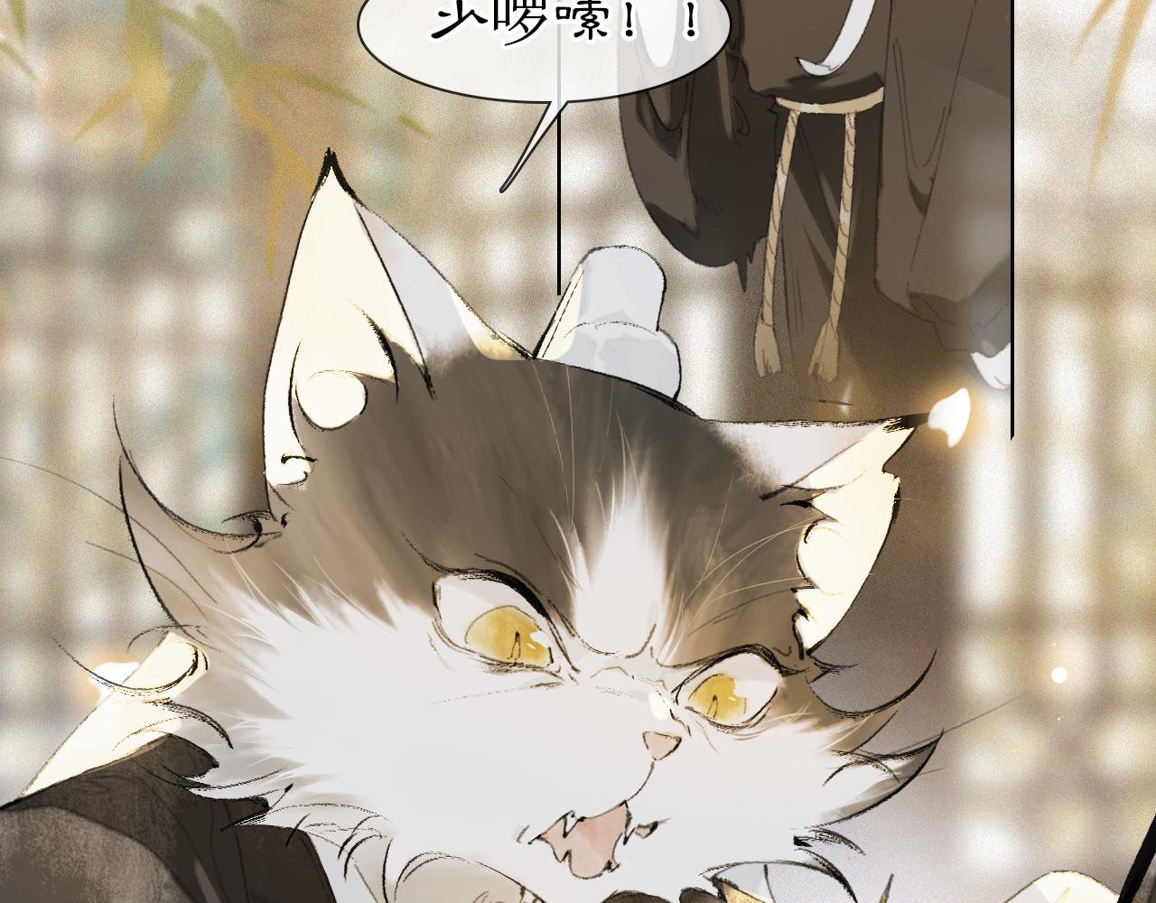 第36话 被选中的喵24
