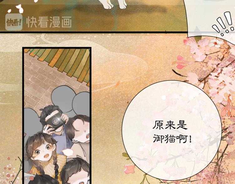 第1话 御猫的神秘生活14