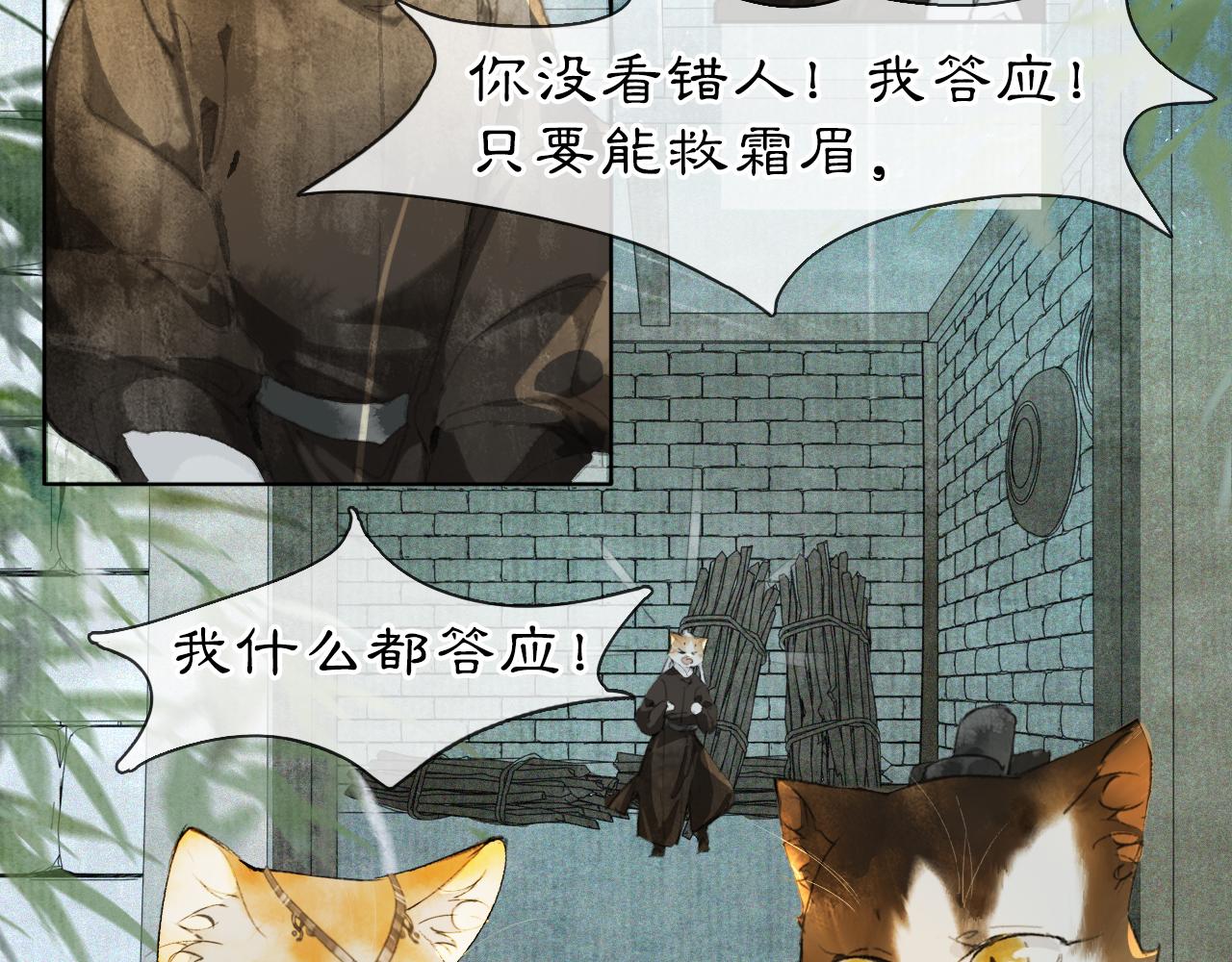 第44话让人担忧的猫咪23