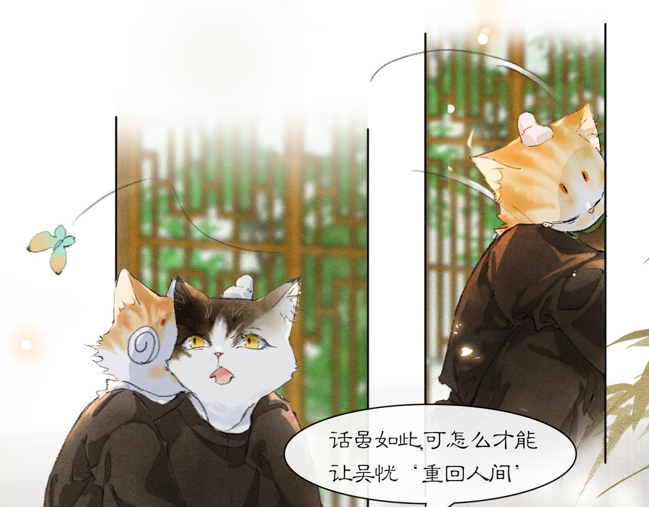 第36话 被选中的喵0