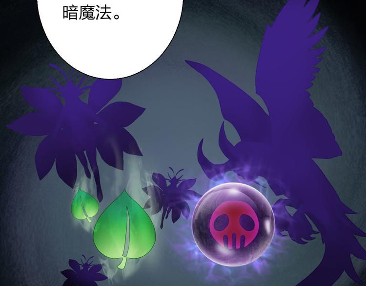 第8话 魔法测试111
