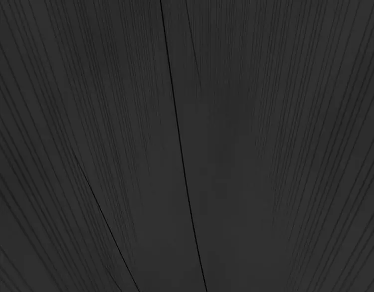 第36话 平行空难81