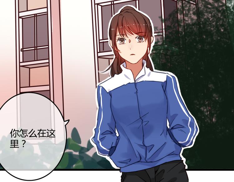 完结篇 告别是玫瑰色209