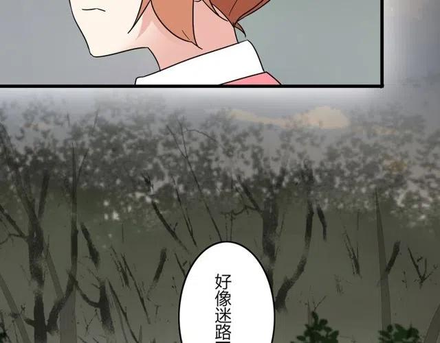 第26话 苏兹森林落难，谁能英雄救美？36