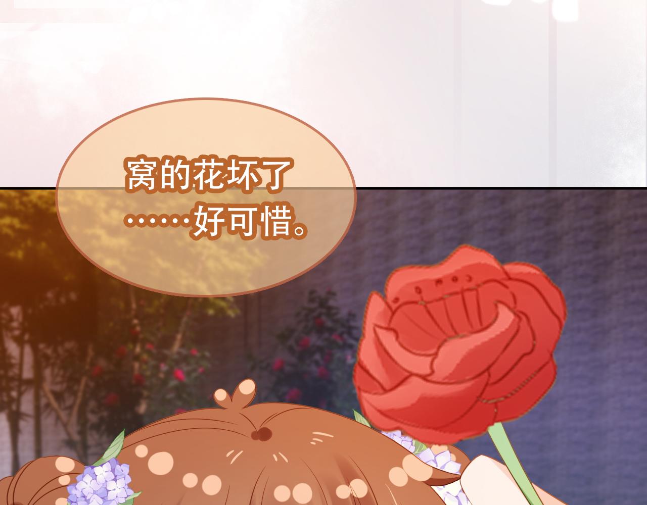 第104话 小花花要回来喽~14