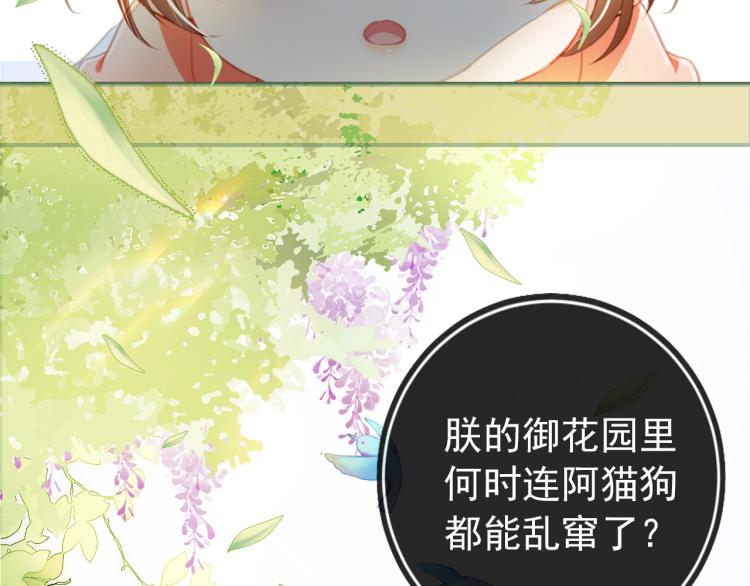 第1话 团宠小吃货驾到~78