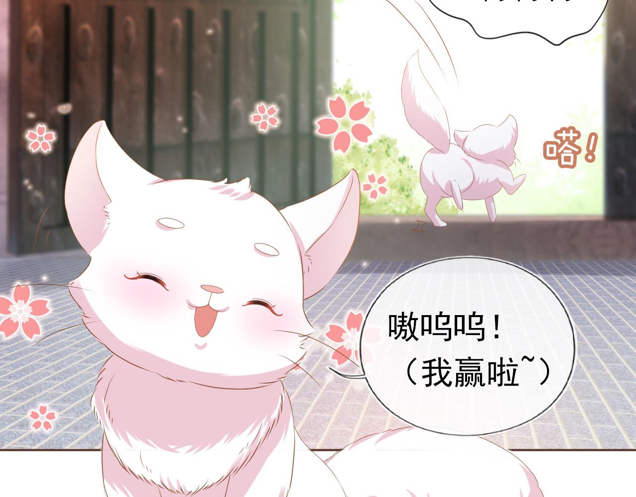 第62话 猫猫脸25