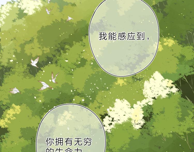 第20话 神木的记忆67