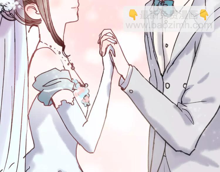 完结篇 完美婚礼60
