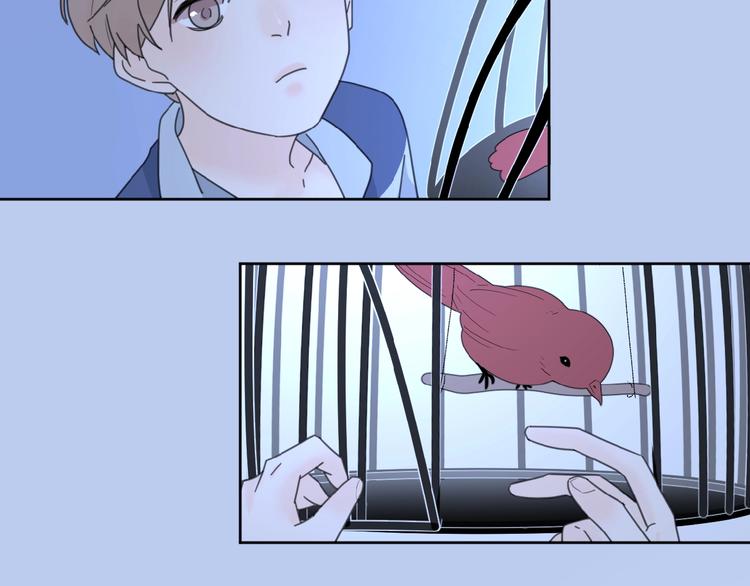 第22话 我的笼中小鸟92