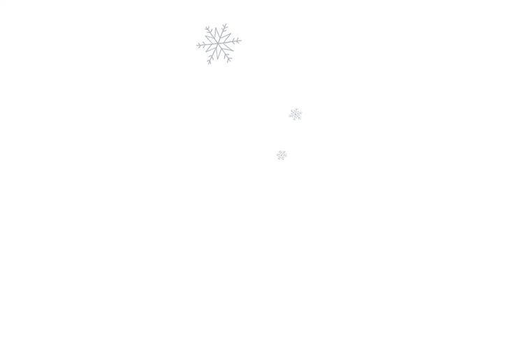 完结篇 冬之结221