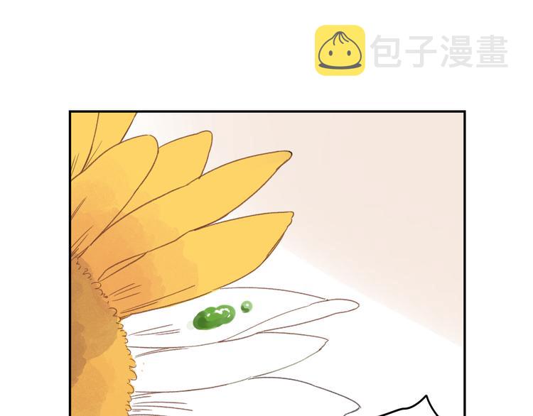 第40话 向日葵33