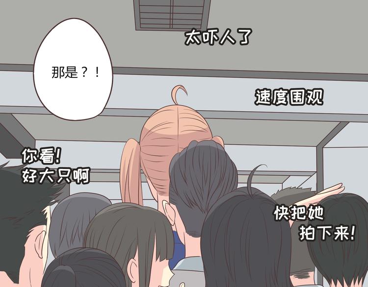 第63话 你没事就好……25
