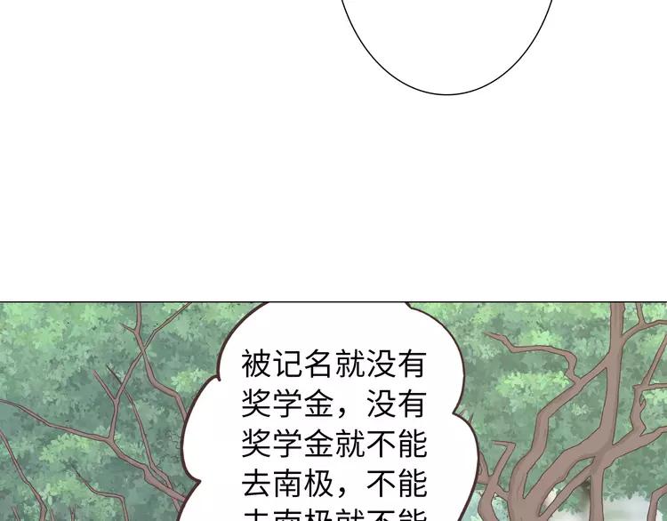 完结篇 命中注定我爱你88