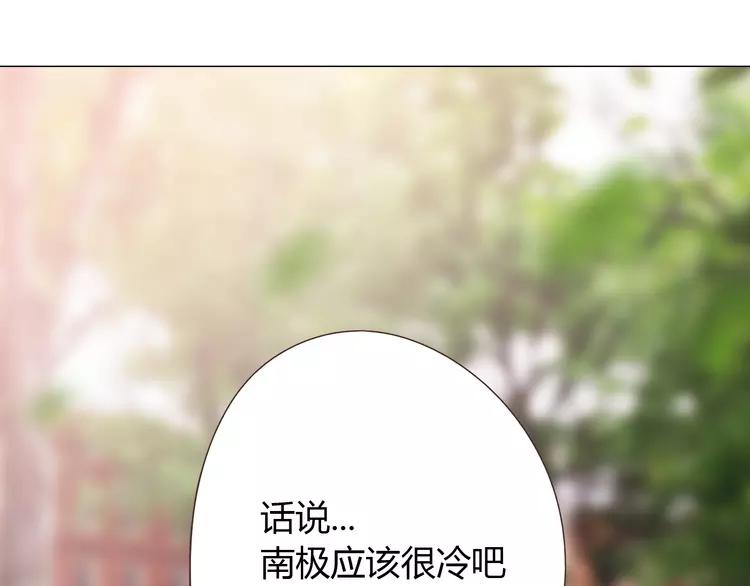 完结篇 命中注定我爱你75