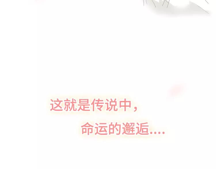完结篇 命中注定我爱你109