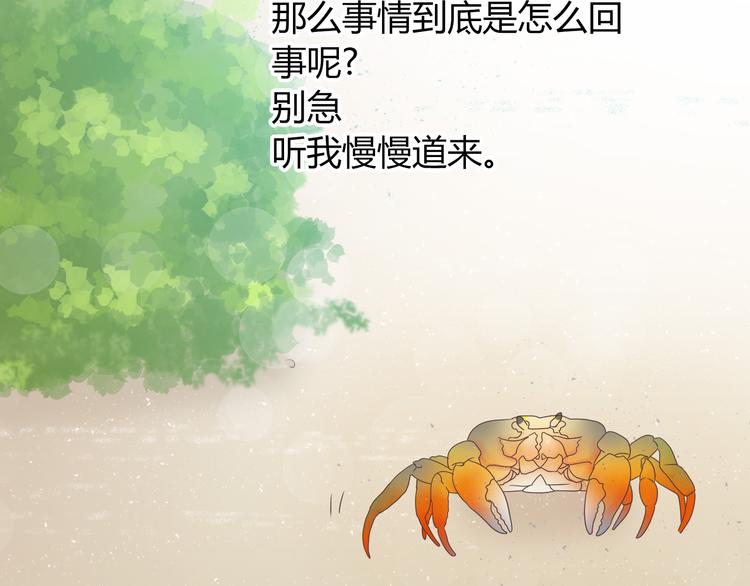 第41话 能够实现愿望的海边8