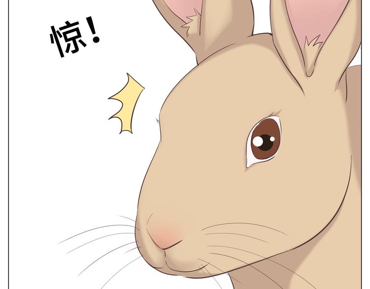 第29话穆晨的捍卫战还是植楠的逆袭？124