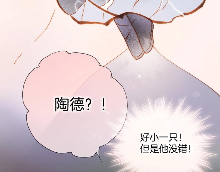 第41话 想要保护你29