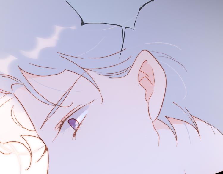 第47话 变身！110