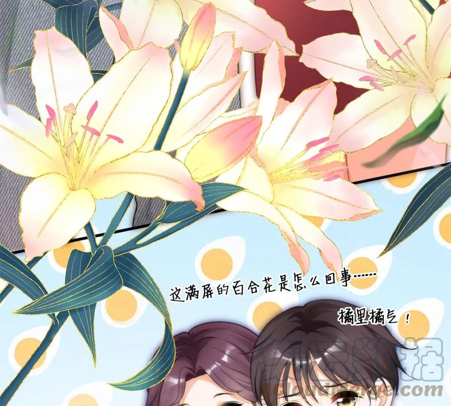 60 橘里橘气51