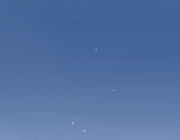 第66话 天生一对0
