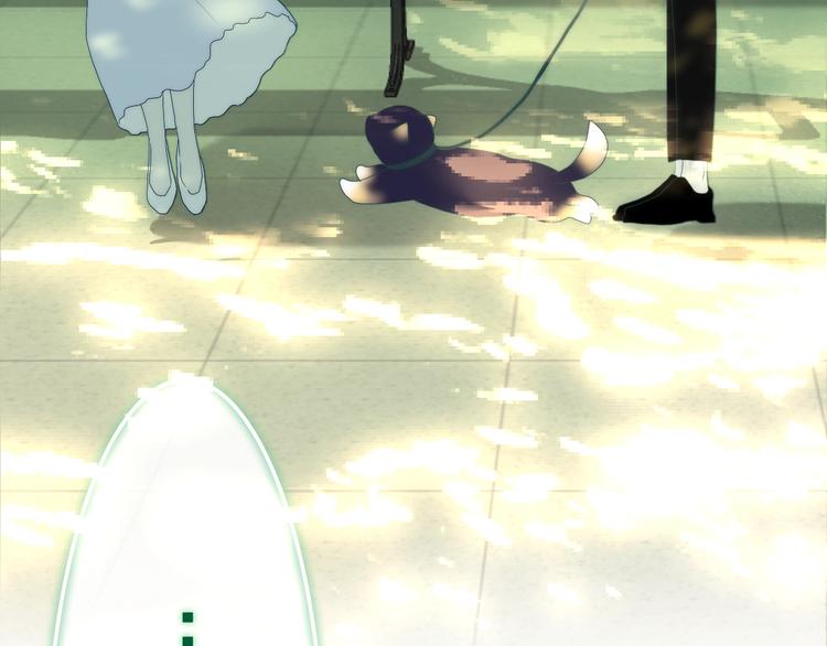 第41话 告白之冷猫6