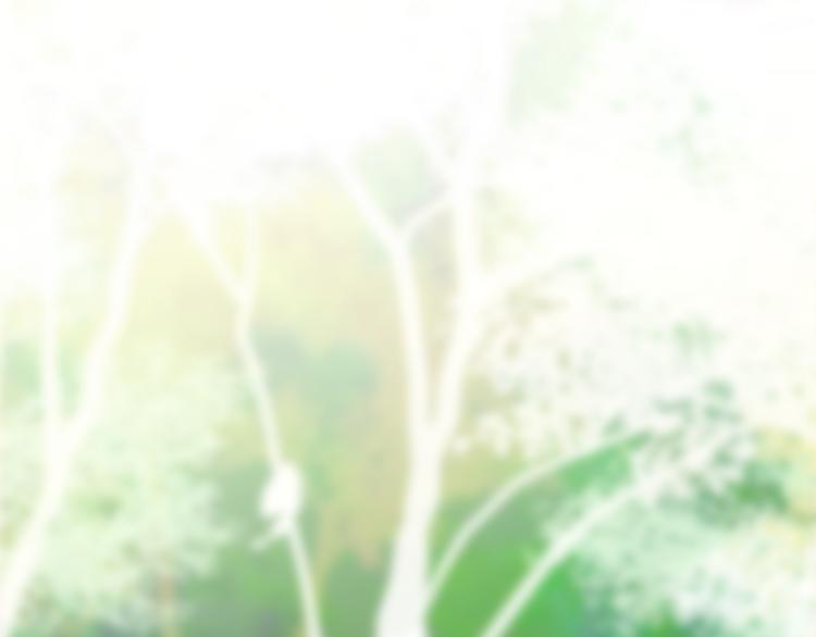 第5话 独一无二的你111