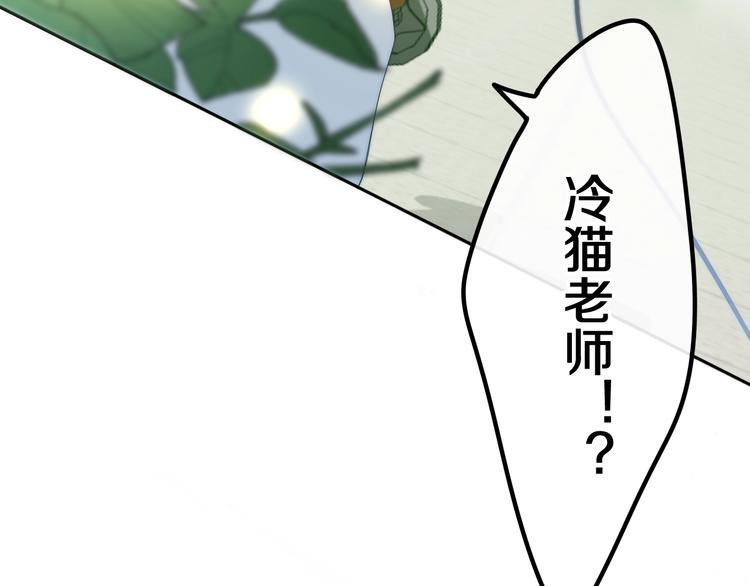 第41话 告白之冷猫11