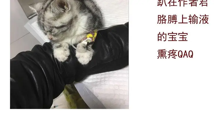 第68话 做她男朋友91