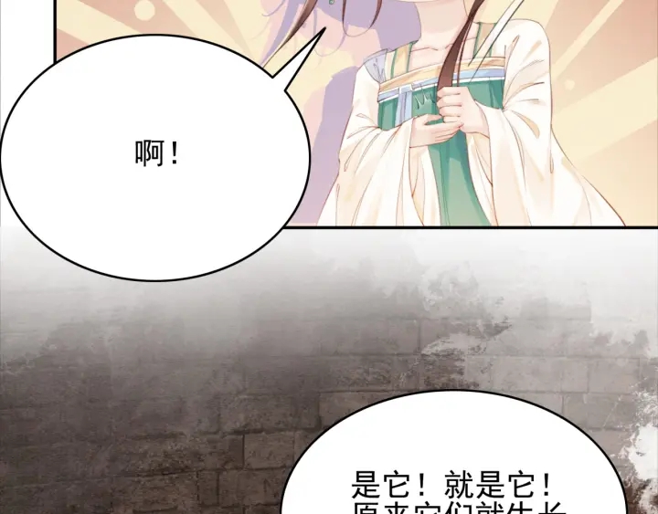 第204话 皇姐忘记的那些事8