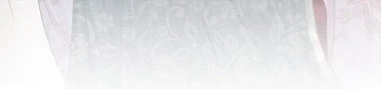 番外5 微服出巡40
