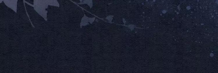 第227话 你的所有都属于我19